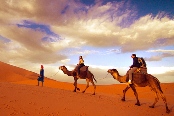 Travel Series of the Year