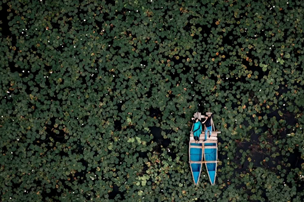 Narendra Sai - Planet Pixel Studios