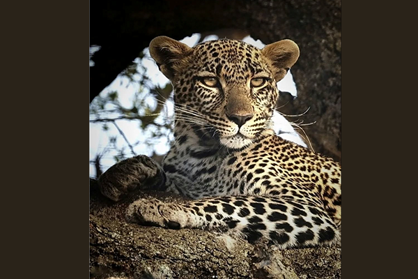 Abhijit Chattopadhyay